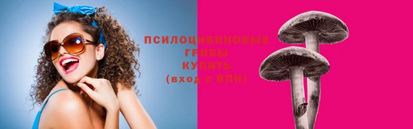 ПСИЛОЦИБИНОВЫЕ ГРИБЫ Алексин