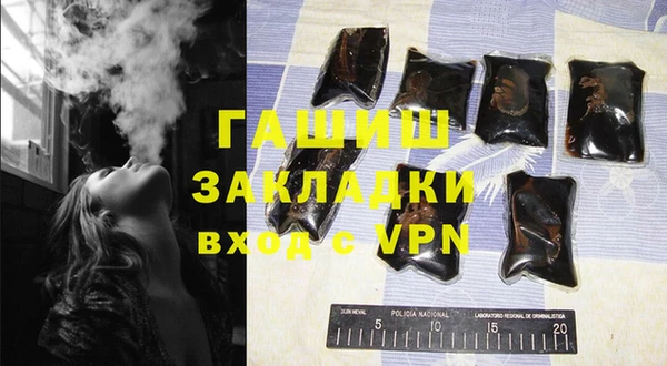 шишки Саяногорск