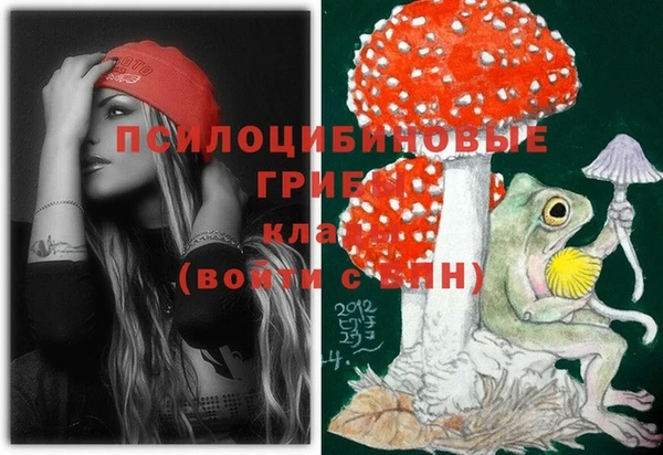 стафф Алексеевка